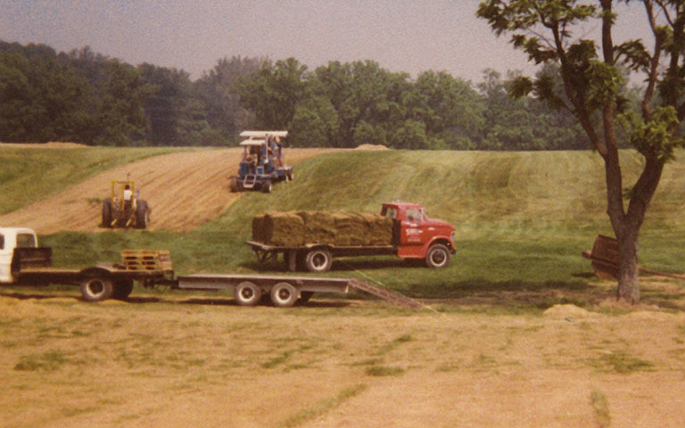 Uhl Turf Harvesting Sod