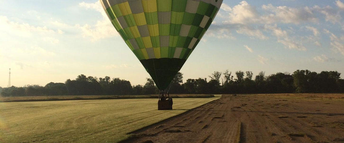 Uhl Turf fescue is professionally grown in Southern Indiana