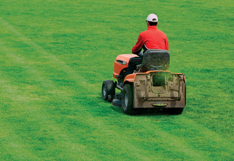 pallet of sod