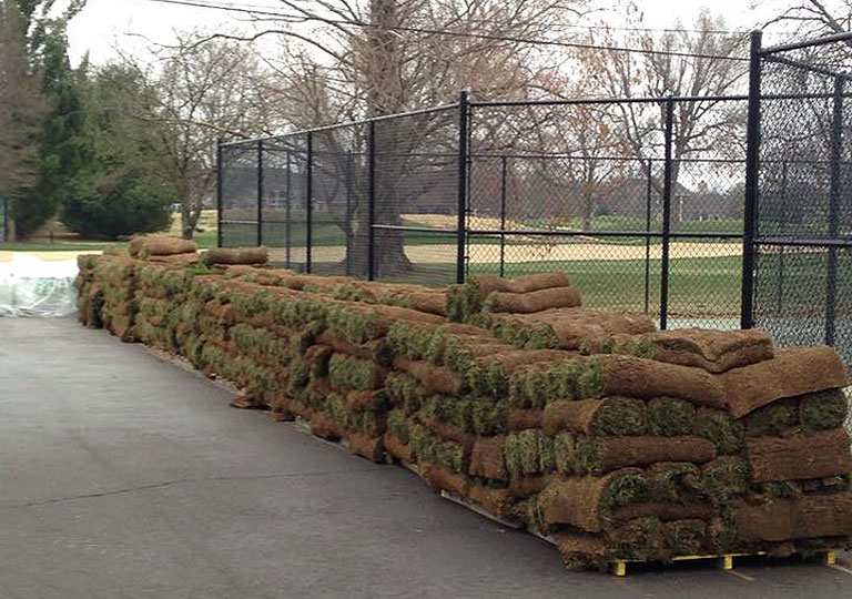 Sod delivered and ready for installation
